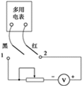 图片_x0020_100016