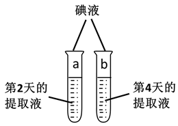 图片_x0020_1092078797