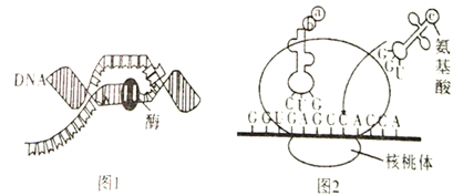 图片_x0020_2068389927
