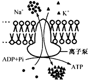 图片_x0020_100001