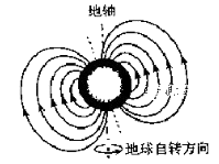 图片_x0020_100019