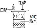 图片_x0020_100003