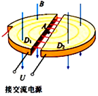 图片_x0020_697328720