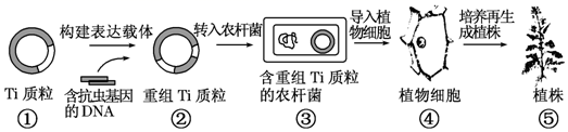 图片_x0020_1322239610