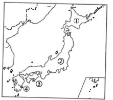 图片_x0020_1923103994