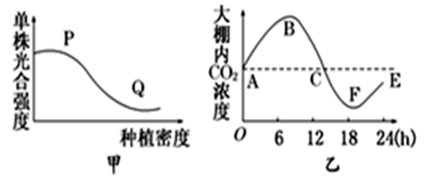 图片_x0020_100002