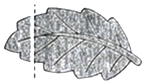 图片_x0020_100001