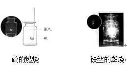 图片_x0020_100028