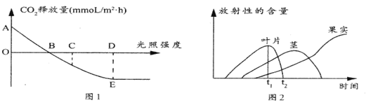 图片_x0020_1862153228