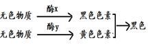 图片_x0020_100002
