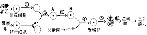 图片_x0020_100016