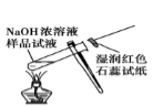 图片_x0020_655382619