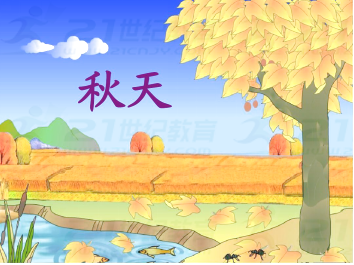图片_x0020_78