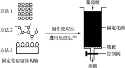 图片_x0020_1060346379