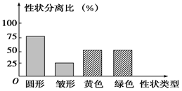 图片_x0020_1951490893