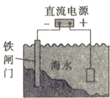 图片_x0020_100001