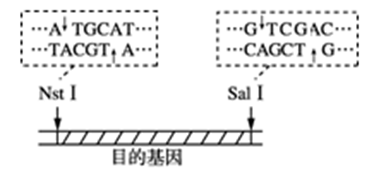 图片_x0020_100024