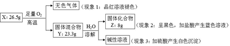 图片_x0020_100033