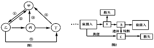 图片_x0020_100020