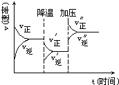 图片_x0020_1130586830