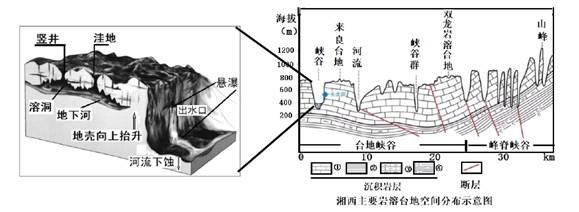图片_x0020_730133582