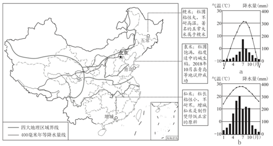 图片_x0020_100010