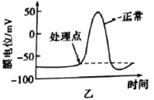 图片_x0020_99393758