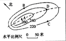 图片_x0020_100007