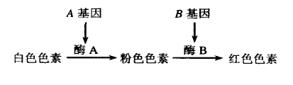 图片_x0020_629488587