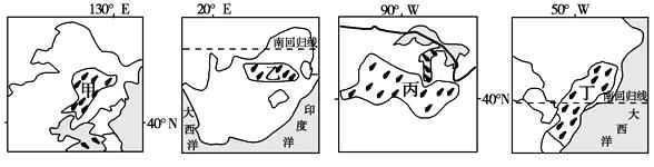_x0000_i1029