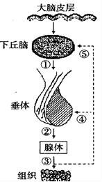 图片_x0020_100006