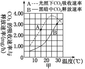 图片_x0020_100003
