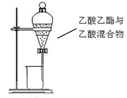 图片_x0020_100004