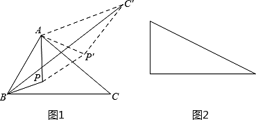 图片_x0020_930099079