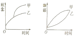 图片_x0020_1832262562