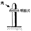 图片_x0020_100001