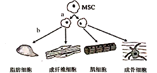 图片_x0020_100003