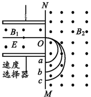 图片_x0020_100014