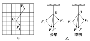 图片_x0020_1068319122