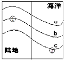 图片_x0020_2060498868