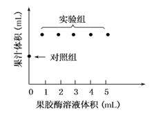 图片_x0020_1049337262