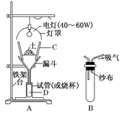 图片_x0020_1540710132