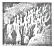 图片_x0020_13