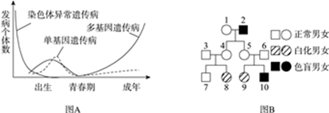 图片_x0020_100004