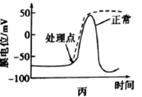 图片_x0020_100003