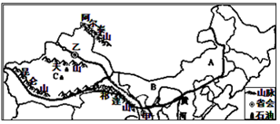 图片_x0020_100013
