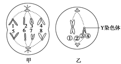 图片_x0020_390344922