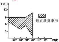 图片_x0020_1769717613