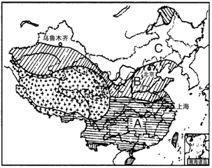 图片_x0020_100021