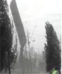 图片_x0020_7